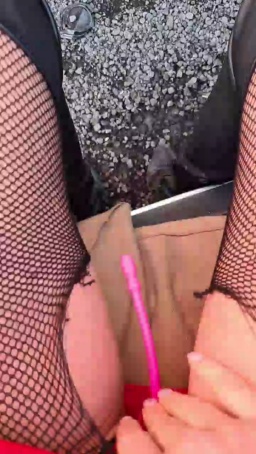 bunny_vic  07-11-2020